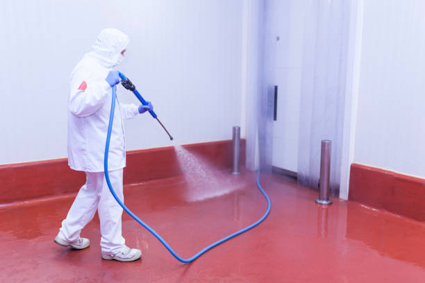 Best Spring Cleaning  in Beech Island, SC