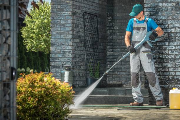 Best Driveway Pressure Washing  in Beech Island, SC